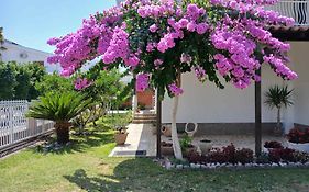 Vila Adriatik