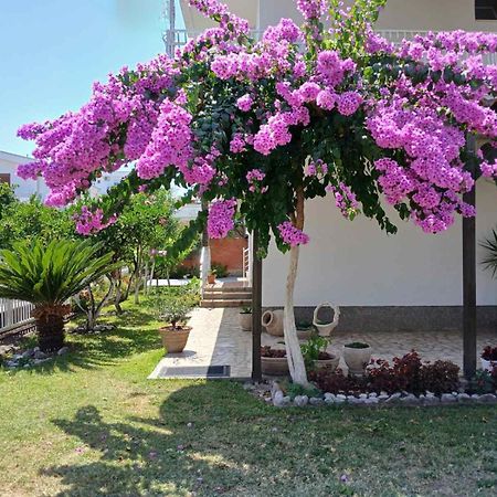 Vila Adriatik Ulcinj Zewnętrze zdjęcie