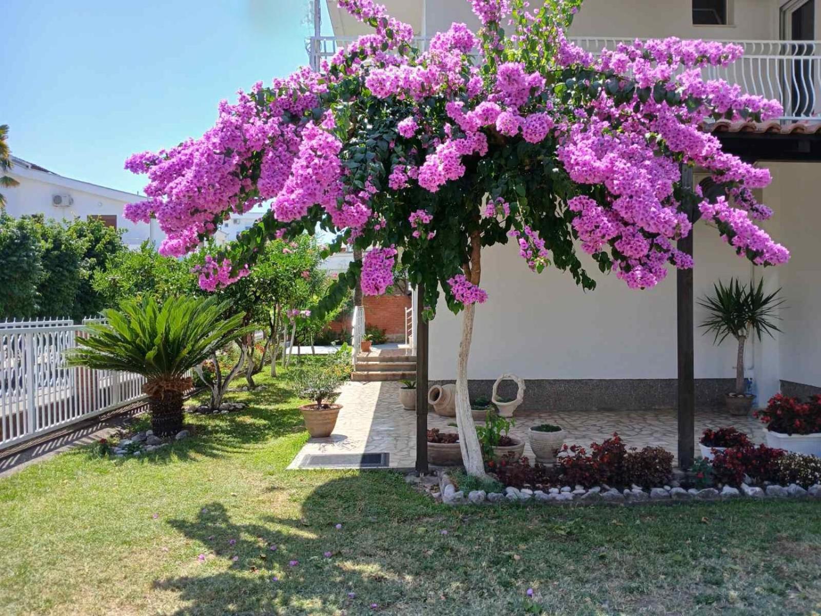 Vila Adriatik Ulcinj Zewnętrze zdjęcie